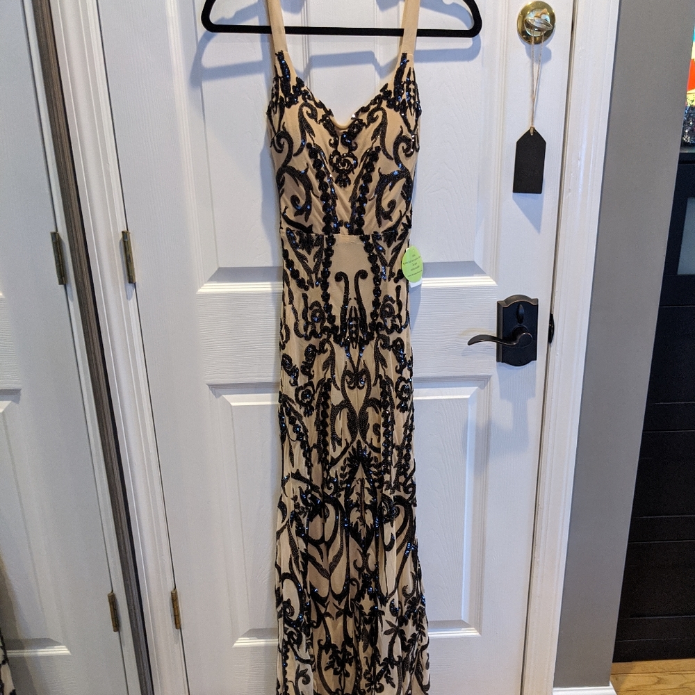 COPY - Windsor Beautiful Nude Sequined pattern Dress NWT!